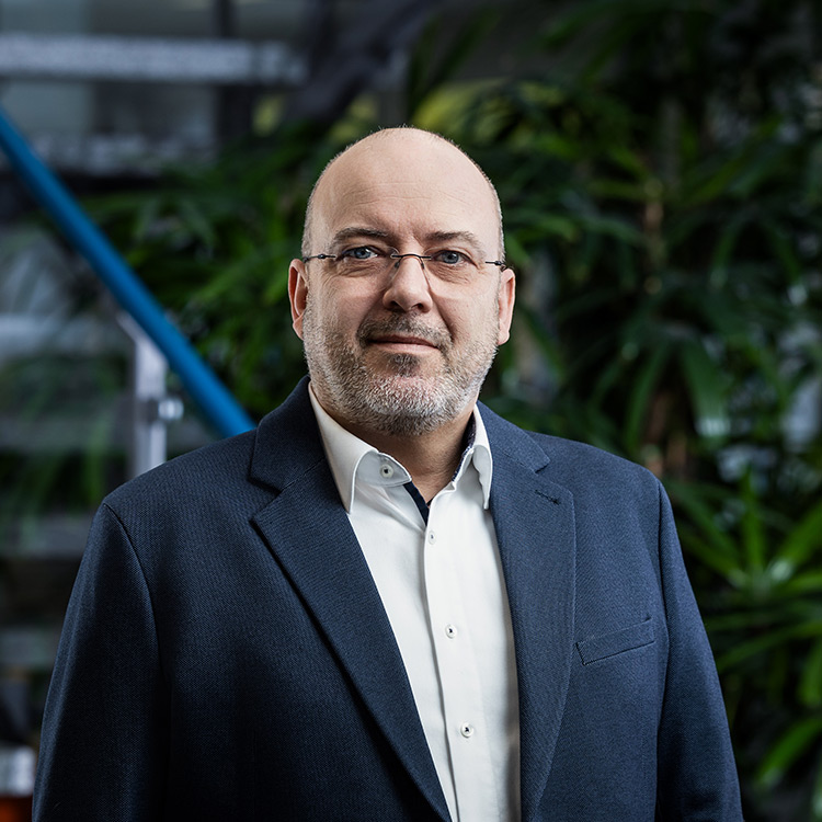 Jürgen Lengauer, Geschäftsführung